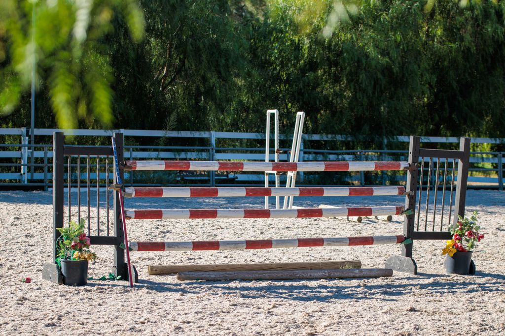A sunlit equestrian arena featuring a striped jump obstacle, ideal for training and competitions.